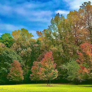Meet your Posher, Herbert